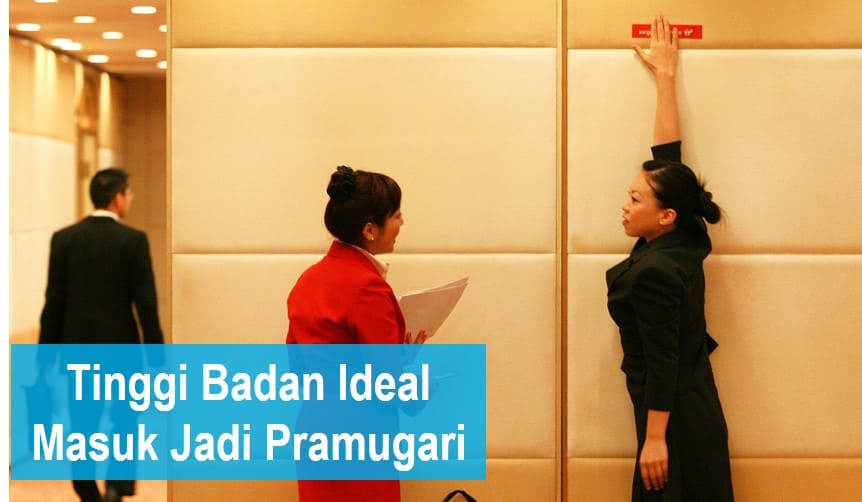 Tinggi Badan Ideal Masuk Jadi Pramugari